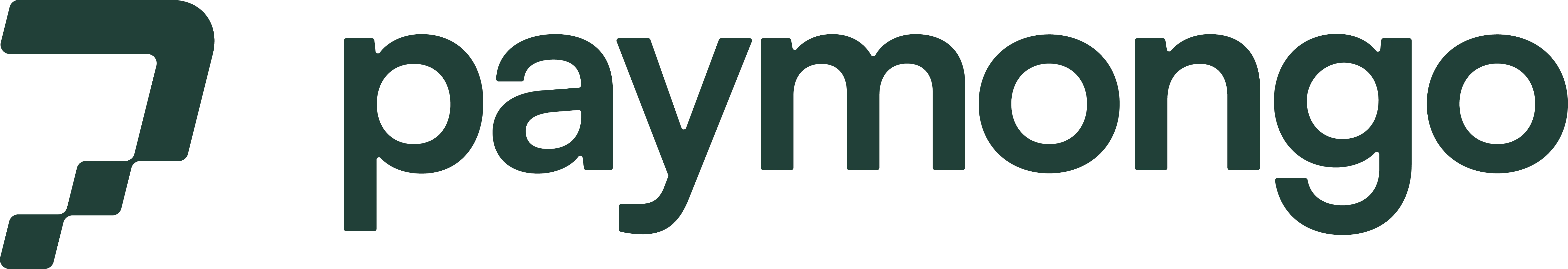 PayMongo Logo - Secure Online Payment